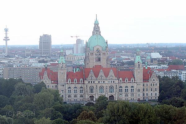 T-20140811-200638_IMG_4242-6 aa.jpg